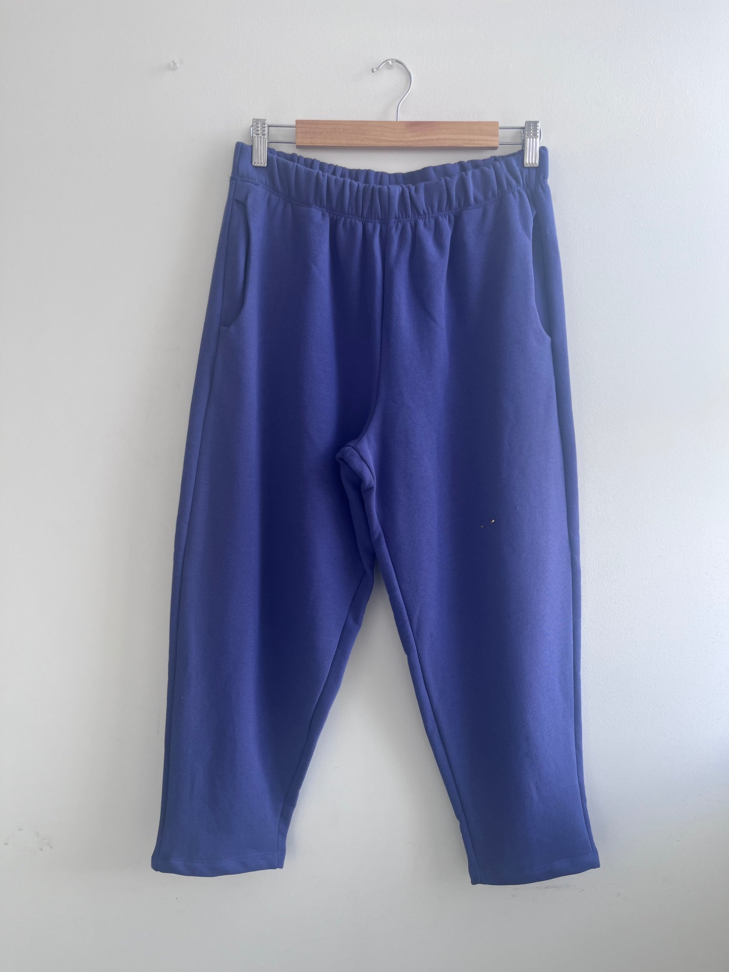 Pantalon molletonné Baxter violet M DEFECT